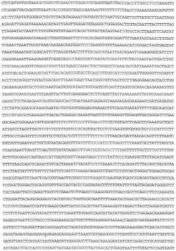 Применение s1p (патент 2362565)