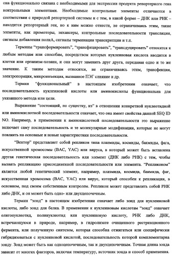 Гены, связанные с остеоартритом собак, и относящиеся к этому способы и композиции (патент 2341795)