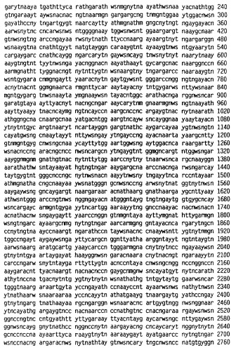 Новый лиганд рецептора цитокина zcytor17 (патент 2360923)