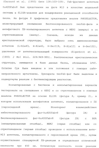 Антитела, сконструированные на основе цистеинов, и их конъюгаты (патент 2412947)