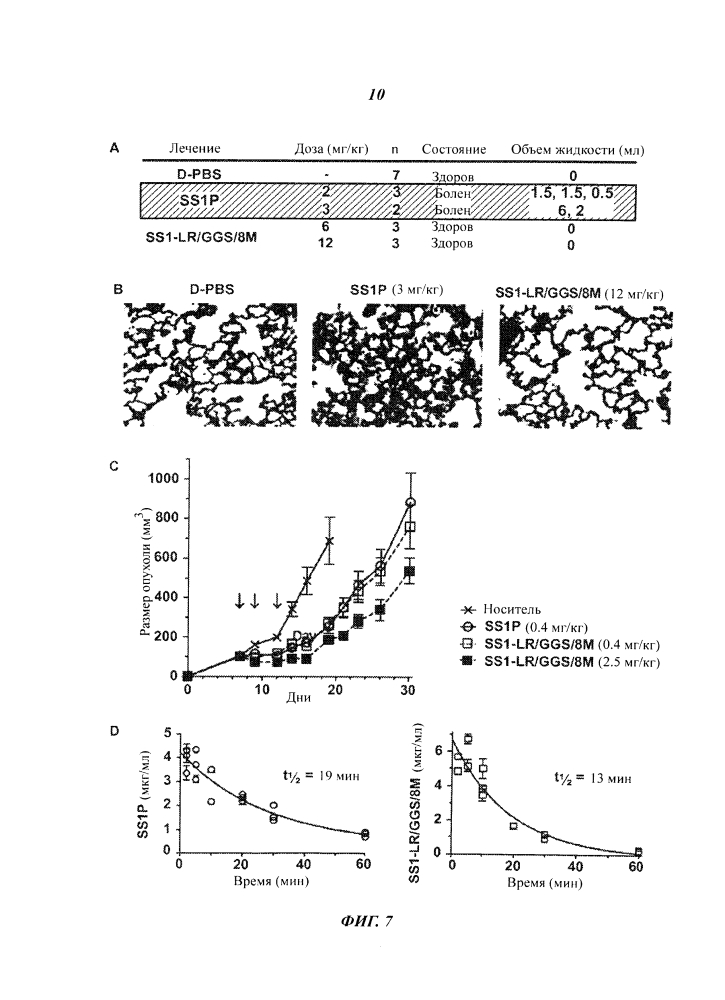 Рекомбинантный иммунотоксин, нацеленный на мезотелин (патент 2600067)