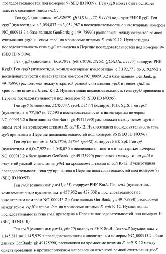 Способ получения l-аминокислот с использованием бактерии, принадлежащей к роду escherichia, в которой инактивирован один или несколько генов, кодирующих малые рнк (патент 2395567)