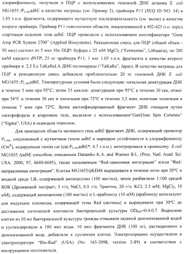Способ получения l-аминокислоты с использованием бактерии, принадлежащей к роду escherichia (патент 2395579)