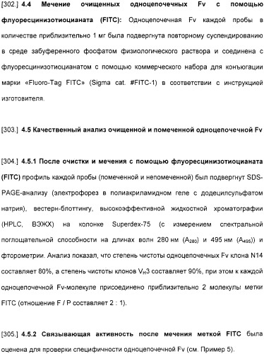 Специфические антитела человека для избирательной терапии рака (патент 2316564)