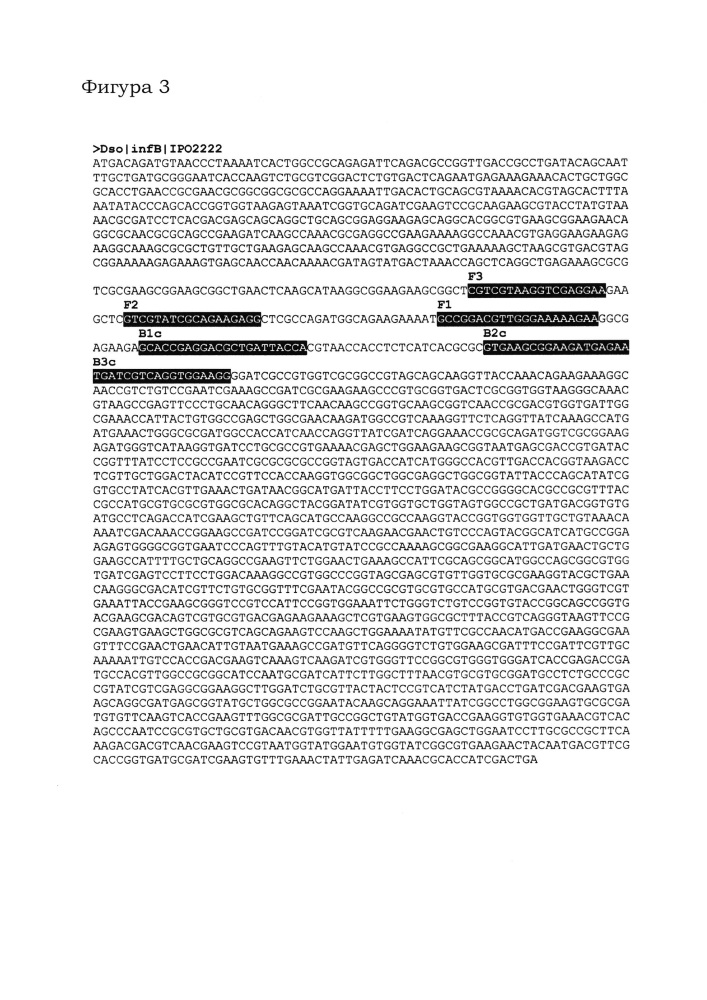 Набор праймеров и способ определения бактерии вида dickeya solani (патент 2642313)