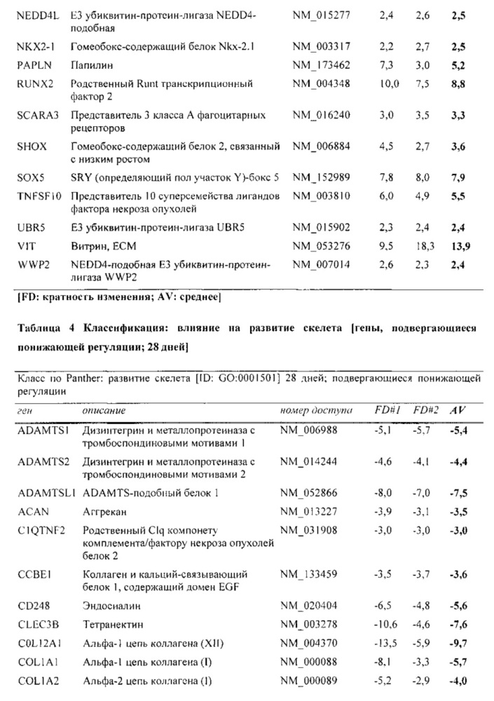 3d in vitro двухфазный костно-хрящевой конструкт (патент 2615439)