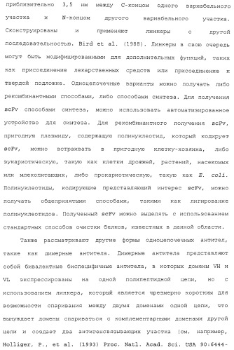 Антитела против сd26 и способы их применения (патент 2486204)