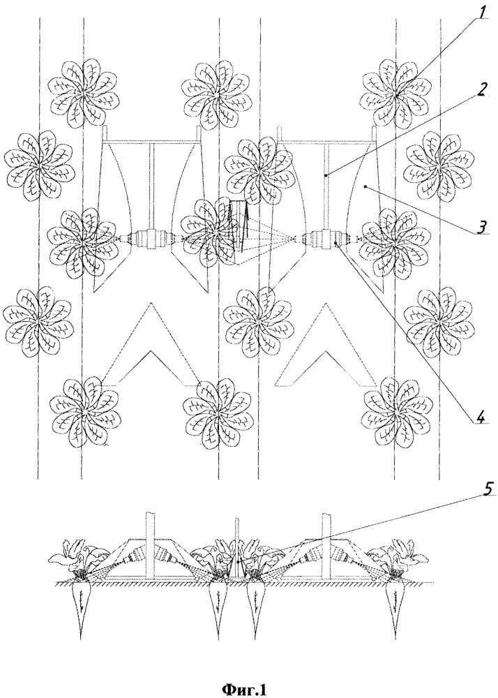 Машина для ухода за растениями сахарной свеклы, высеянной по схеме 15+45 см (патент 2654338)