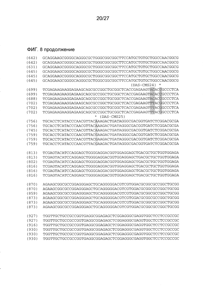 Ген-восстановитель rf4 для цитоплазматической мужской стерильности (cms) c-типа кукурузы, молекулярные маркеры и их применение (патент 2603005)