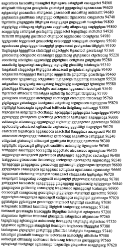 Модуляция экспрессии гентингтина (патент 2562861)