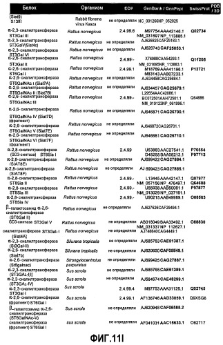 Гликопэгилированный гранулоцитарный колониестимулирующий фактор (патент 2400490)