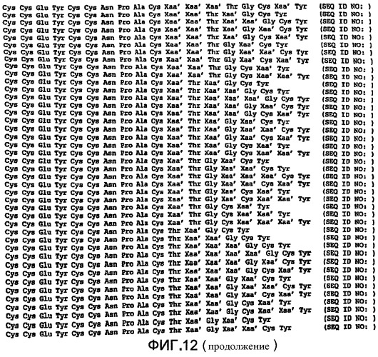 Полипептид для увеличения активности рецептора гуанилатциклазы, фармацевтическая композиция, способ лечения желудочно-кишечного расстройства у пациента, способ повышения активности рецептора гуанилатциклазы у пациента, способ лечения висцеральной боли, способ получения полипептида (варианты), изолированная молекула нуклеиновой кислоты, бактериальный вектор экспрессии и изолированная бактериальная клетка (патент 2433133)
