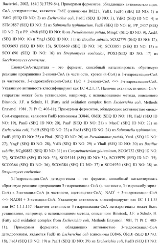 Бактерия - продуцент 1-бутанола и способ получения 1-бутанола (патент 2431672)