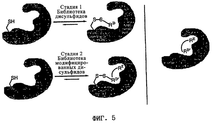 Способ нахождения лигандов (патент 2295518)