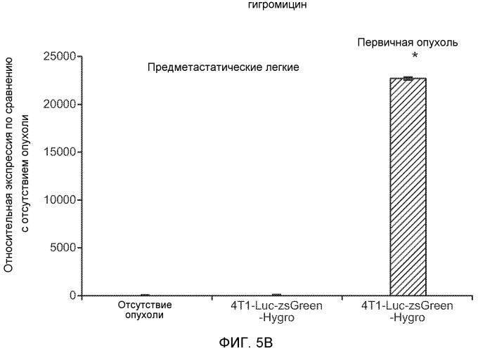 Ингибирование метастазирования опухоли при помощи антагонистов bv8 или g-csf (патент 2567803)