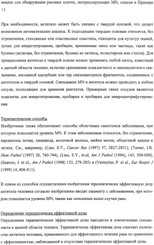 Антитела человека, обладающие активностью связывания c mn и нейтрализации клеточной адгезии (патент 2317998)