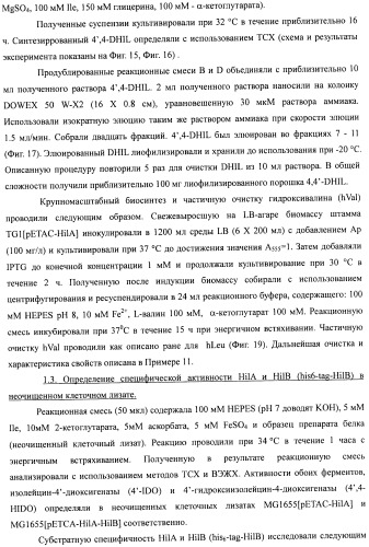 Способ получения гидроксилированной аминокислоты (варианты) и микроорганизм, трансформированный днк, кодирующей диоксигеназу (патент 2460779)