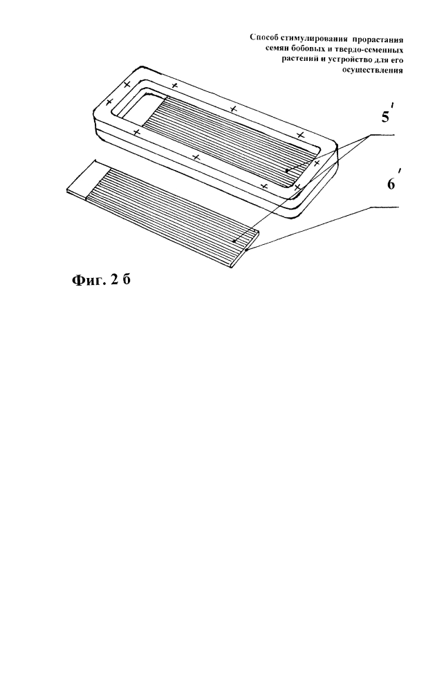 Способ стимулирования прорастания семян бобовых и твердо-семенных растений и устройство для его осуществления (патент 2601588)