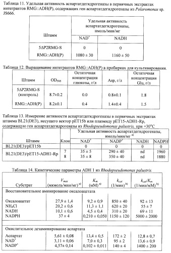 Бактерия семейства enterobacteriaceae - продуцент l-аспарагиновой кислоты или метаболитов, производных l-аспарагиновой кислоты, и способ получения l-аспарагиновой кислоты или метаблитов, производных l-аспарагиновой кислоты (патент 2472853)