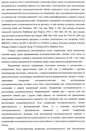 Идентификация опухолевых антигенов для диагностики и терапии (патент 2485974)