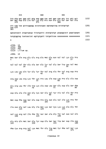 Способ получения лилий, содержащих в лепестках делфинидин (патент 2590722)