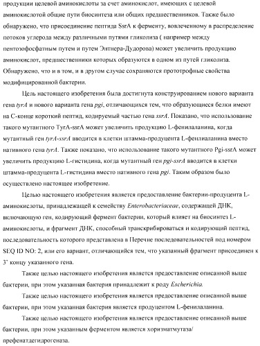 Способ получения аминокислот с использованием бактерии, принадлежащей к роду escherichia (патент 2396336)