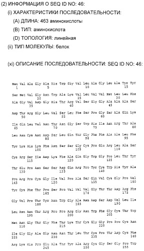 Очищенные белки оболочки вируса гепатита с для диагностического и терапевтического применения (патент 2313363)