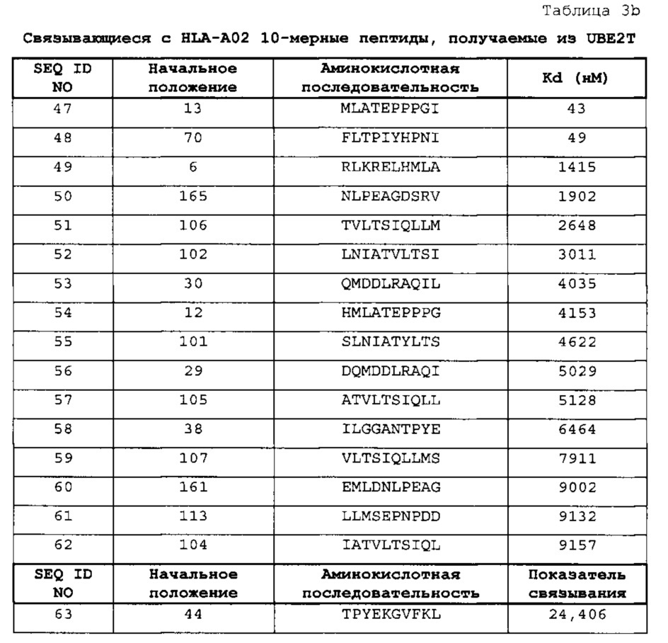 Пептиды ube2t и содержащие их вакцины (патент 2663350)