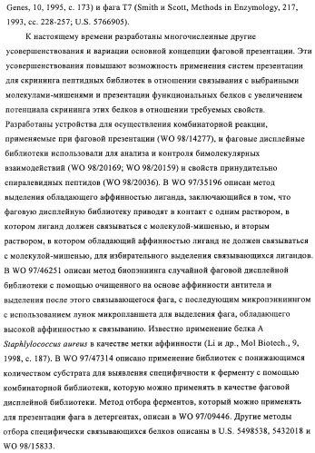 Композиции и способы диагностики и лечения опухоли (патент 2430112)