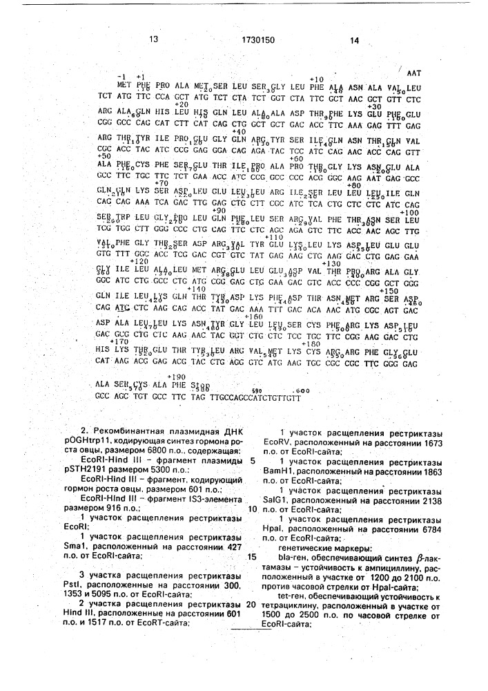 Фрагмент днк, кодирующий гормон роста овцы, рекомбинантная плазмидная днк роgнтrр11, кодирующая синтез гормона роста овцы, штамм бактерий еsснеriснiа coli - продуцент гормона роста овцы (патент 1730150)