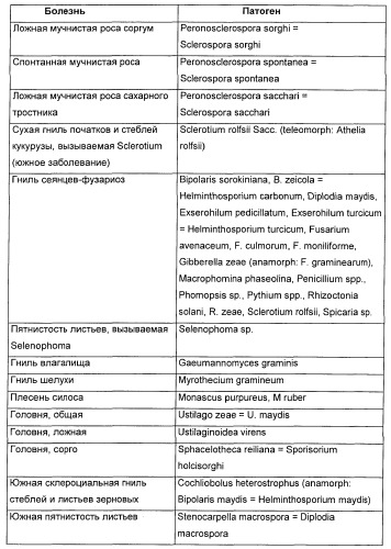 Способ повышения стойкости к стрессовым факторам в растениях (патент 2375452)