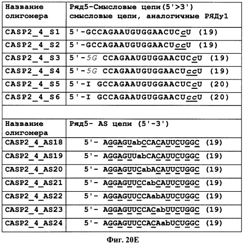 Новые структуры малых интерферирующих рнк (sirna) (патент 2487716)