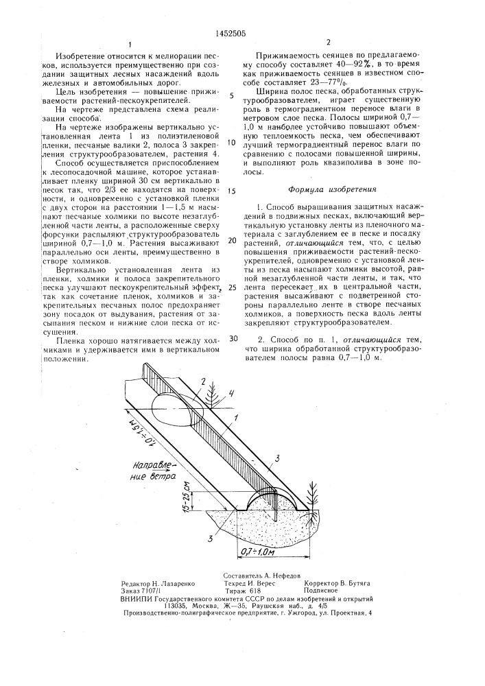 Способ выращивания защитных насаждений в подвижных песках (патент 1452505)