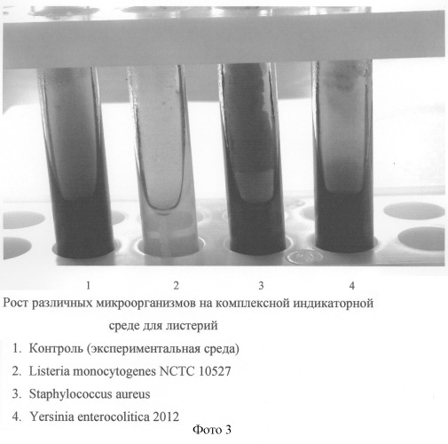 Комплексная индикаторная среда для дифференциации бактерий рода listeria (патент 2303060)