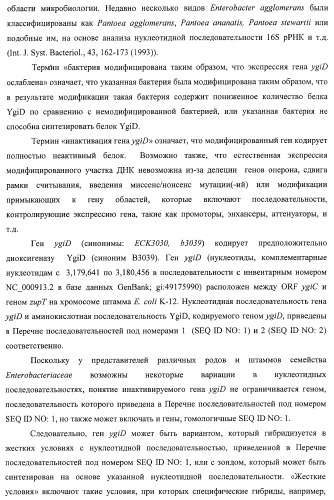 Способ получения l-треонина с использованием бактерии, принадлежащей к роду escherichia, в которой инактивирован ген ygid (патент 2396349)