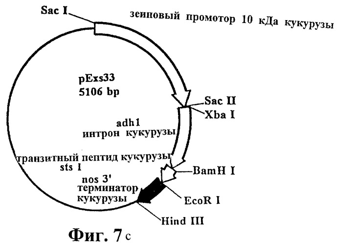 Инкапсулирование полипептидов в матрицу крахмала (патент 2268301)