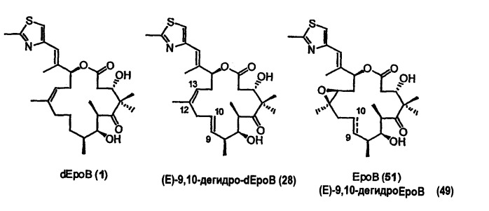 Синтез эпотилонов, их промежуточных продуктов, аналогов и их применения (патент 2462463)