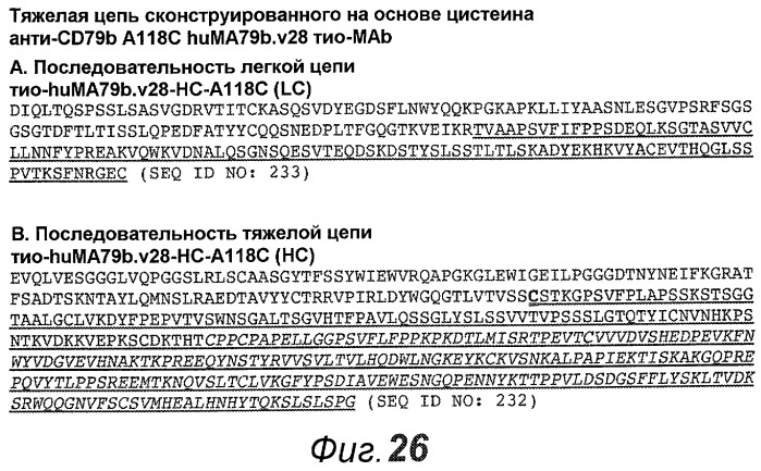 Анти-cd79b антитела и иммуноконъюгаты и способы их применения (патент 2511410)