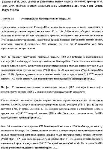 Способ получения полиненасыщенных кислот жирного ряда в трансгенных организмах (патент 2447147)