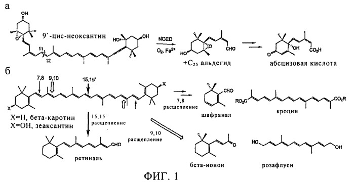 Композиция для контроля развития растений (патент 2512272)