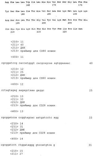 Выделенная нуклеиновая кислота, кодирующая лиганд cd86 кошки, диагностический олигонуклеотид, клонирующий вектор, вакцина, способы индукции или подавления иммунитета у кошки (патент 2263145)