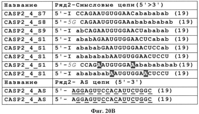 Новые структуры малых интерферирующих рнк (sirna) (патент 2487716)