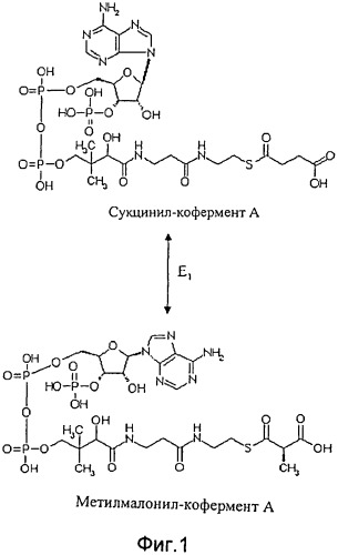 Способ получения метакриловой кислоты или сложных эфиров мeтакриловой кислоты (патент 2491346)