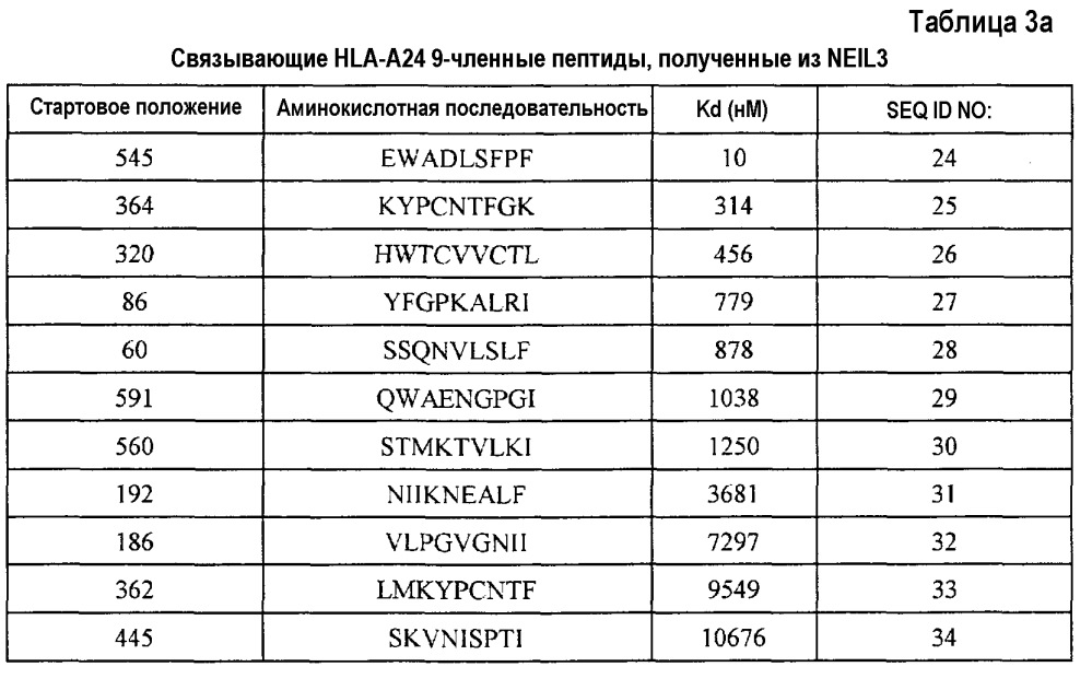 Пептиды neil3 и включающие их вакцины (патент 2600888)