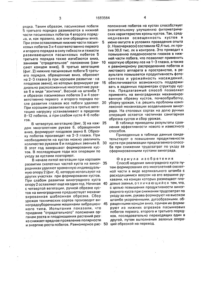 Способ ведения виноградного куста (патент 1683564)