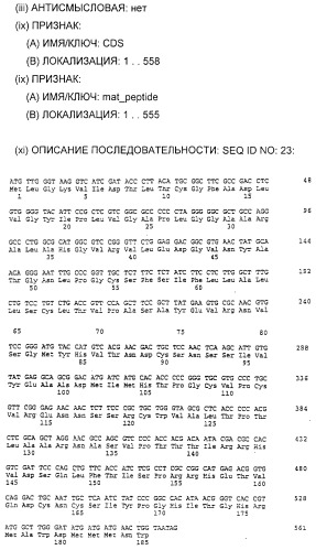 Очищенные белки оболочки вируса гепатита с для диагностического и терапевтического применения (патент 2313363)