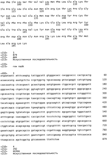 Микроорганизм с повышенной продукцией l-аминокислот и способ получения l-аминокислот с его применением (патент 2549689)