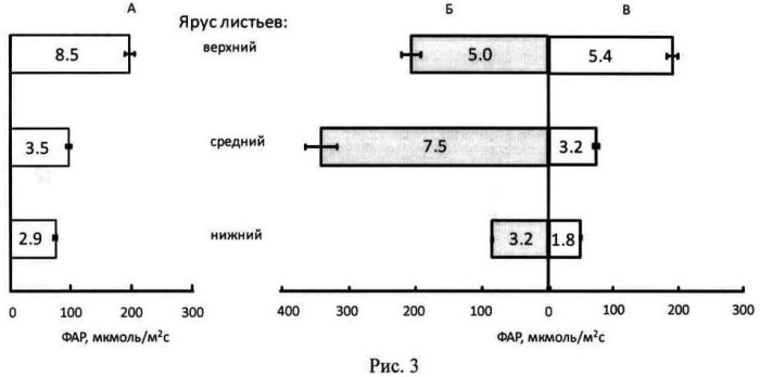 Способ повышения продуктивности и рентабельности выращивания огурца в условиях защищенного грунта на севере (патент 2490868)