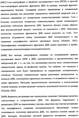 Иммуногенная композиция и способ разработки вакцины, основанной на участках матричного белка вич (патент 2403915)