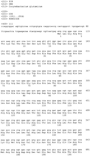 Гены corynebacterium glutamicum, кодирующие белки, участвующие в метаболизме углерода и продуцировании энергии (патент 2310686)